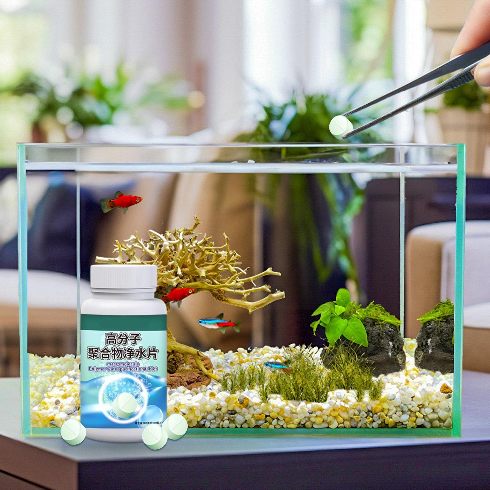 Fish Can Algae Remover Aquariu - Betta Fish Tank 评论和价格