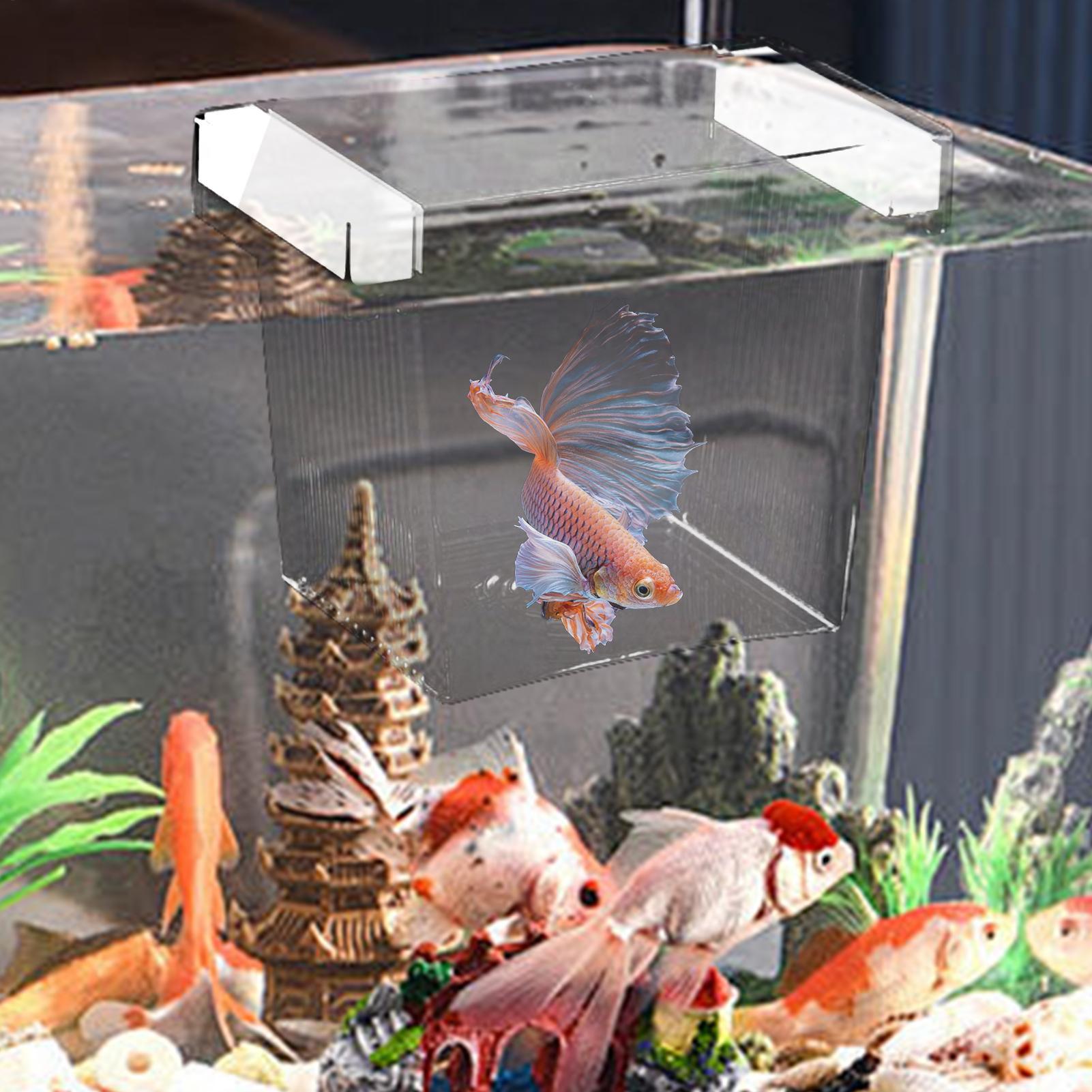 Floating Fish Breeding Isolati - Betta Fish Tank 评论和价格