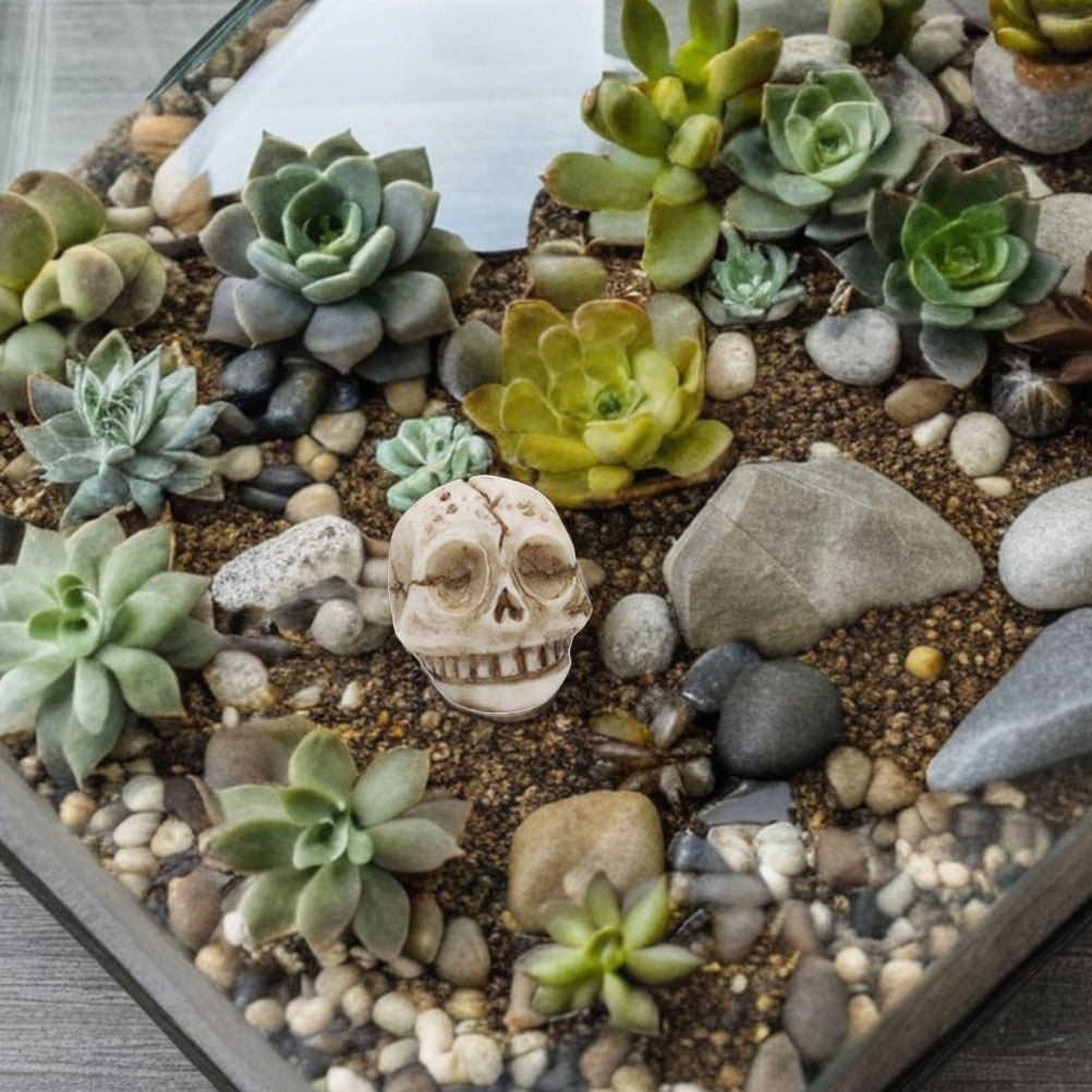 20Pcs Resin Smiling Skull Deco - Aquarium Decor 评论和价格
