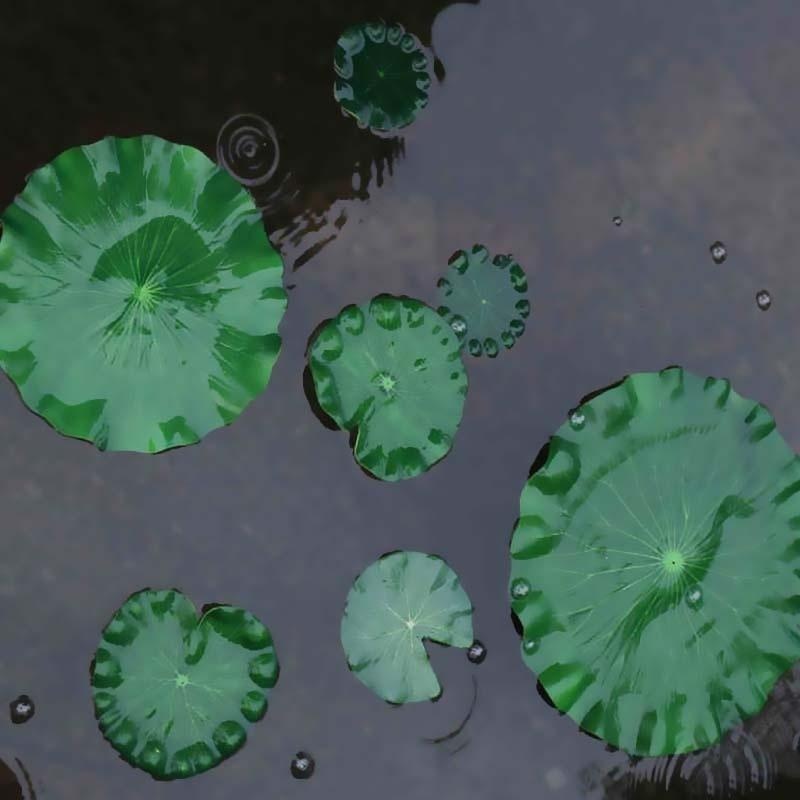 2026 Artificial Water Lily Lot - Fish Aquarium Home 评论和价格