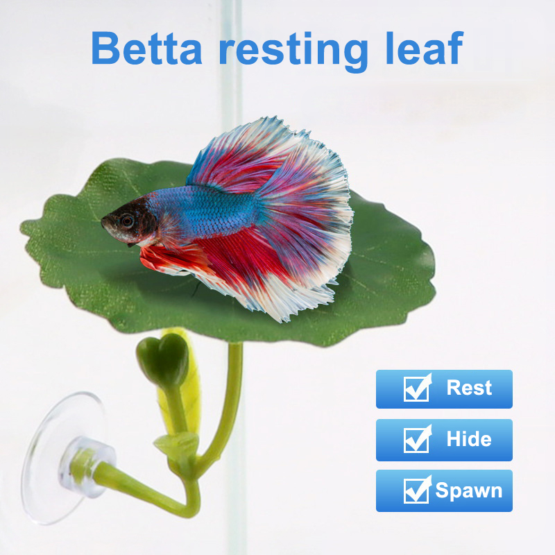 (Ce14)1/5PC Green Leaf Hammock - Betta Fish Tank 评论和价格