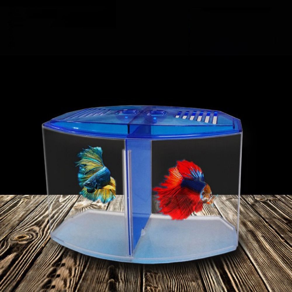 Transparent Betta Fish Tank, D - Betta Fish Tank 评论和价格
