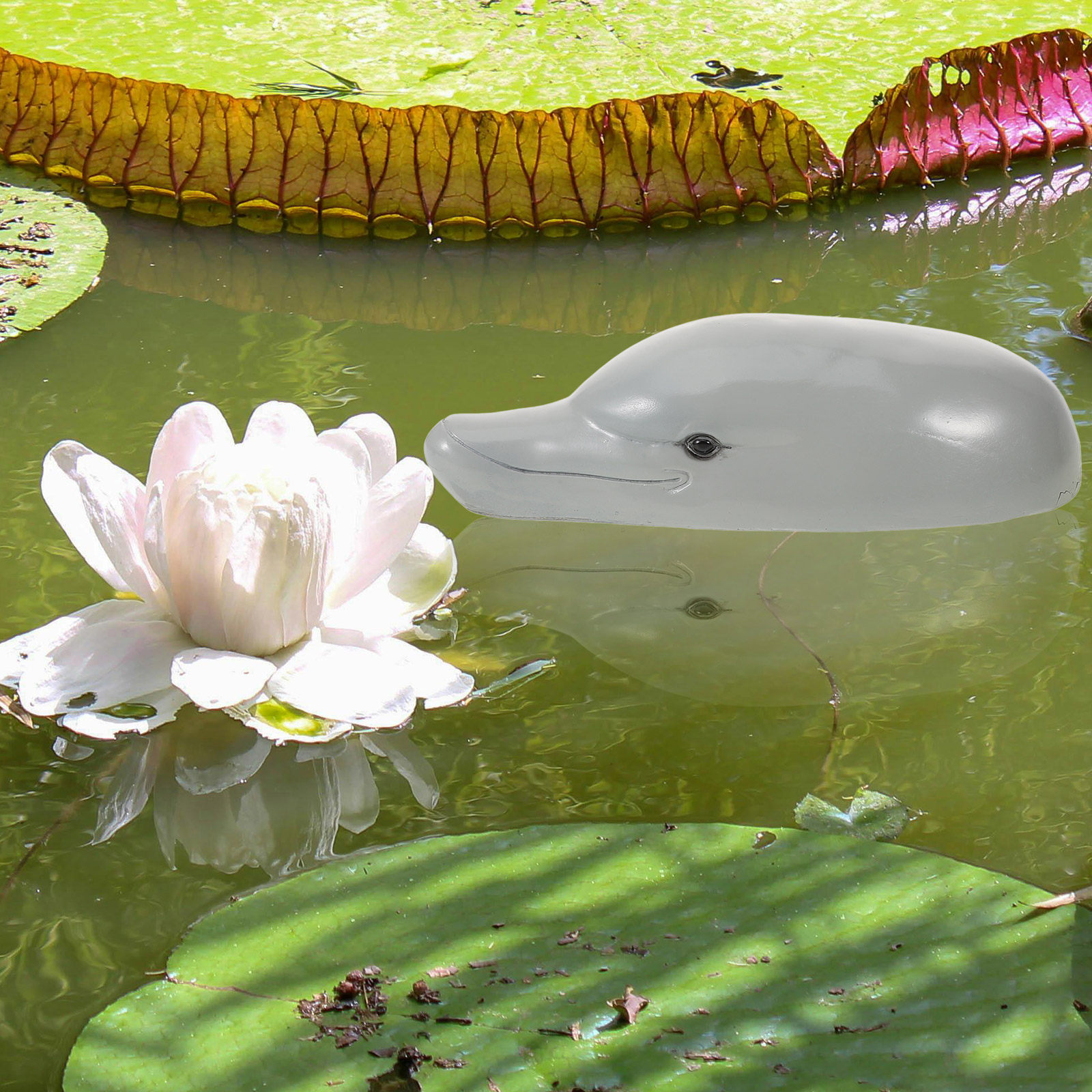 Premium Resin Dolphin Head Orn - Aquarium Decor 评论和价格